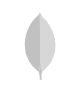 mongo-db.png