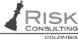 Risk consulting logo