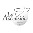 The Ascension logo